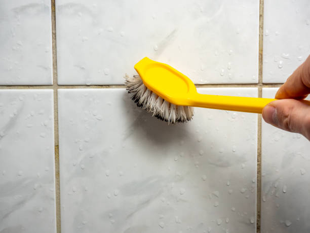 Best Mold Testing and Removal  in Rockdale, TX